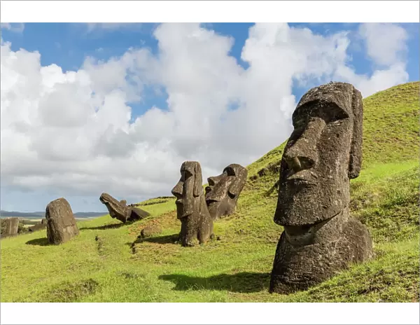 Moai sculptures in various stages of completion at Rano Raraku, the quarry site for all moai on Easter Island, Rapa Nui National Park, UNESCO World Heritage Site, Easter Island (Isla de Pascua), Chile, South America