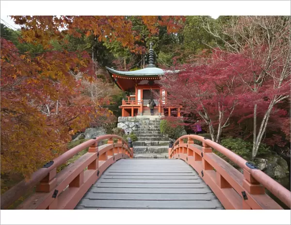 Japanese temple garden in autumn, Daigoji Temple, Kyoto, Japan, Asia