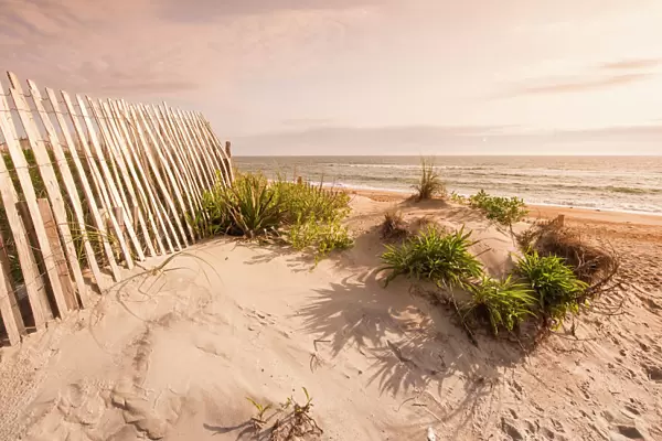 Beach near Kitty Hawk, Outer Banks, North Carolina, United States of America, North