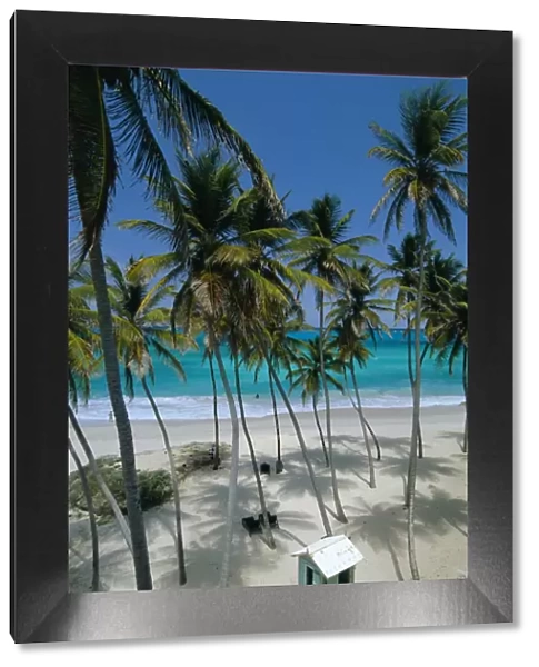 Bottom Bay Beach, east coast, Barbados, Windward Islands, West Indies, Caribbean