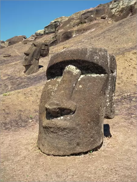 Close-up of moai heads still within the crater from where they were quarried