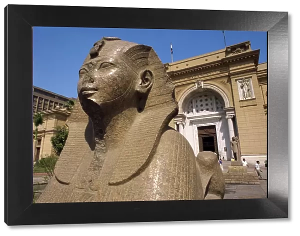 Sphinx outside the Egyptian Museum, Cairo, Egypt, North Africa, Africa