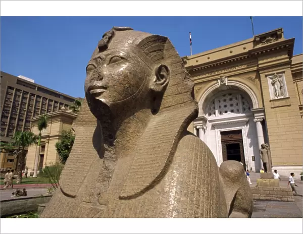 Sphinx outside the Egyptian Museum, Cairo, Egypt, North Africa, Africa