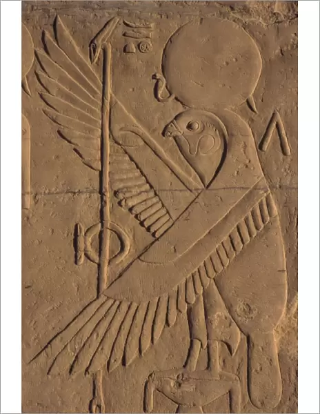Detail of relief carving of the falcon (hawk) god, Kom Ombo, Egypt, North Africa, Africa