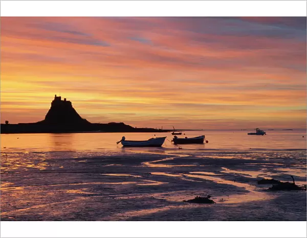 Lindisfarne at sunrise, Holy Island, Northumberland, England, United Kingdom, Europe