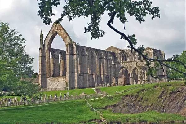 Bolton Abbey, Wharfedale, Yorkshire Dales National Park, Yorkshire, England