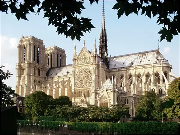 Cathedral of Notre Dame, Paris, France, Europe