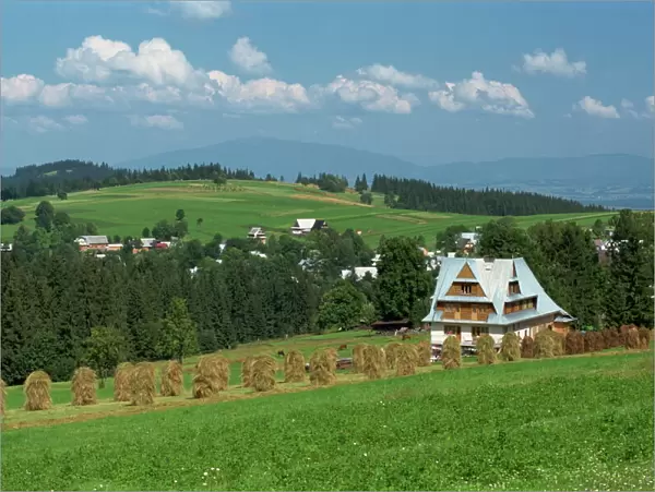 Typical Polish landscape near Zakopane in the Tatra Mountains
