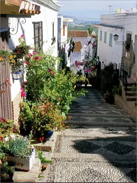 Narrow street filled with flowers and plants