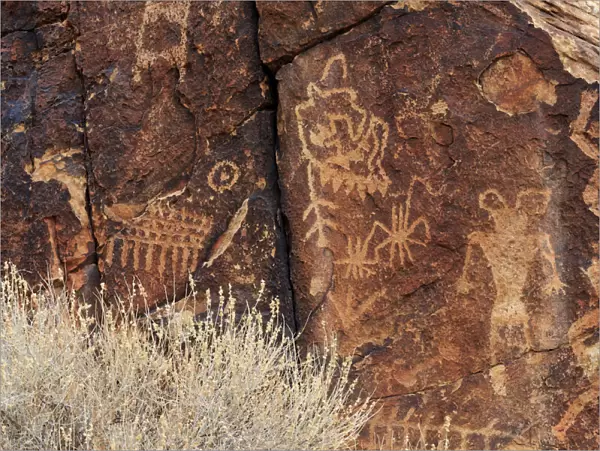 Petroglyphs, Parowan Gap, Iron County, Utah, United States of America, North America