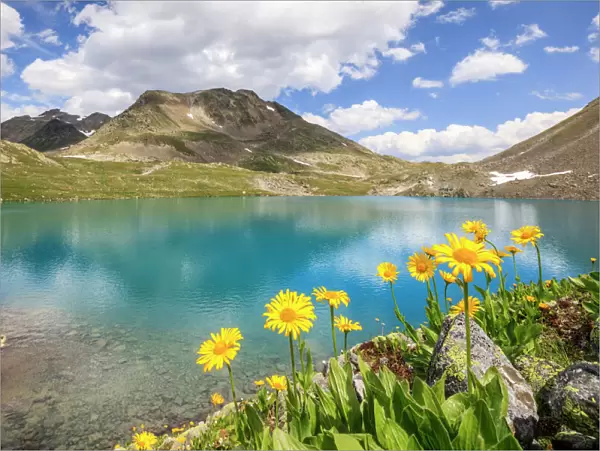 Turquoise lake framed by yellow flowers and rocky peaks, Joriseen, Jorifless Pass
