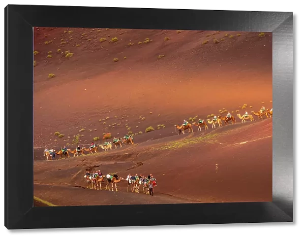 View of tourists riding camels, Timanfaya National Park, Lanzarote, Las Palmas, Canary Islands, Spain, Atlantic, Europe
