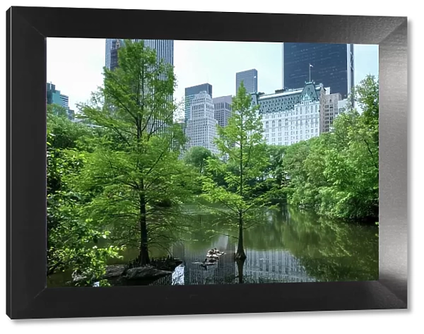View of Manhattan cityscape as seen from The Pond, one of seven bodies of water in Central Park located near Grand Army Plaza, across Central Park South from the Plaza Hotel, New York City, United States of America, North America