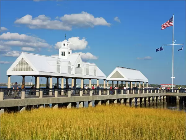 Waterfront Park Pier, Charleston, South Carolina, United States of America, North America