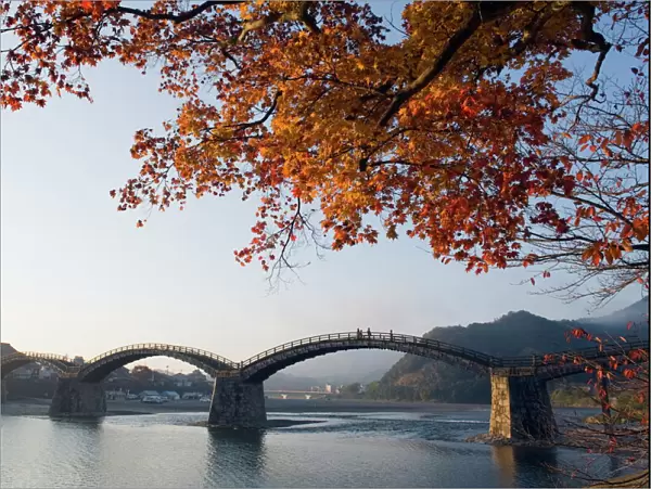 Autumn colours at Kintaikyo bridge, Iwakuni, Yamaguchi Prefecture, Japan, Asia