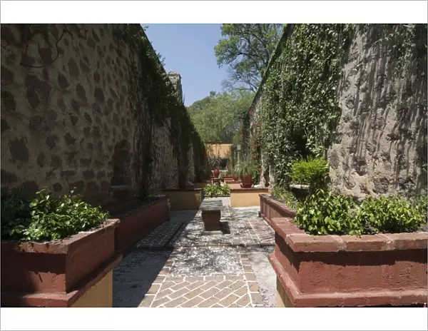 Gardens in Guanajuato, UNESCO World Heritage Site, Guanajuato State, Mexico