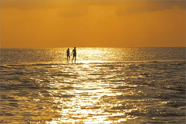 Silhouette of couple walking on a sandbank at sunset, Maldives, Indian Ocean, Asia