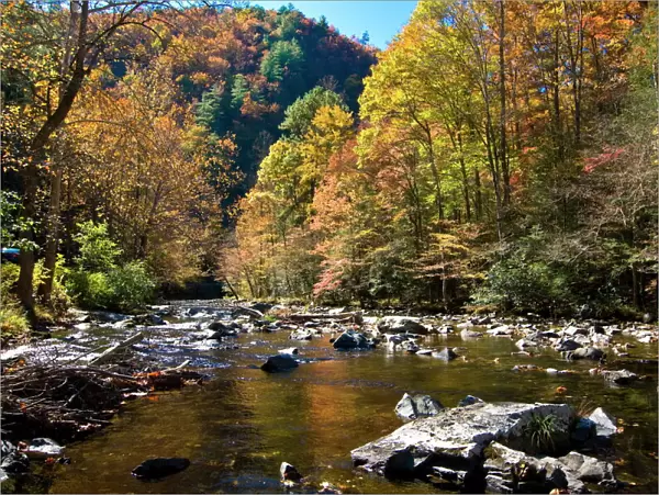 River and colourful foliage in the Indian summer, Great Smoky Mountains National Park