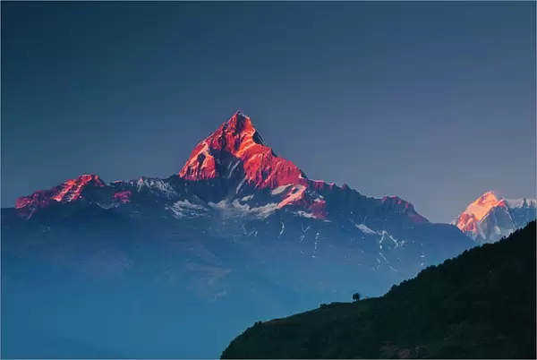 Machapuchare (Machhapuchhre) (Fish Tail) mountain, in the Annapurna Himal of north central Nepal, Nepal, Himalayas, Asia