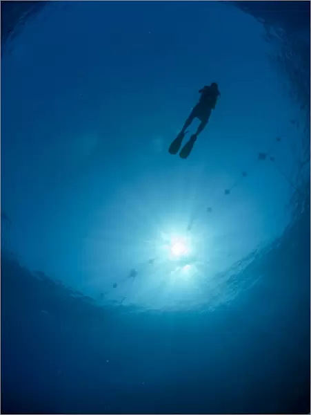 Silhouette of one scuba diver and sunball underwater, fish eye view, Egypt, North Africa, Africa