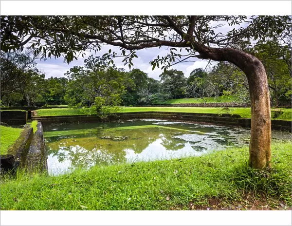 Water Gardens at Sigiriya Rock Fortress (Lion Rock), Sigiriya, North Central Province, Sri Lanka, Asia