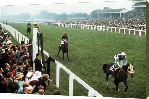 1973 Ascot Gold Cup