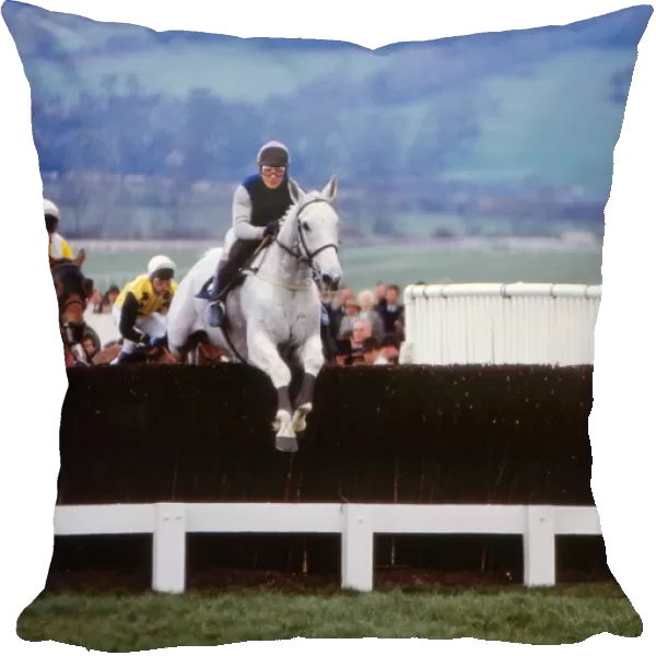 Desert Orchid in action in the 1990 Gold Cup