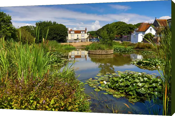 The Village Pond and the Elms in the village of Rottingdean, East Sussex, England
