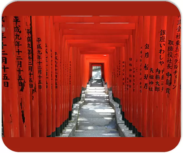 Red Torii Shrine Gates at Hie-Jinja Temple in Tokyo, Japan