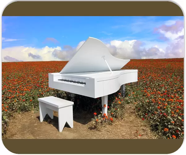 Grand piano in zinnia field
