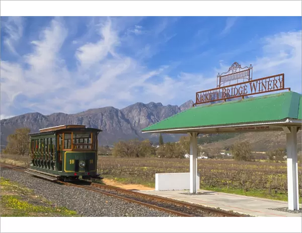 Wine tram at Rickety Bridge Wine Estate, Franschhoek, Western Cape, South Africa