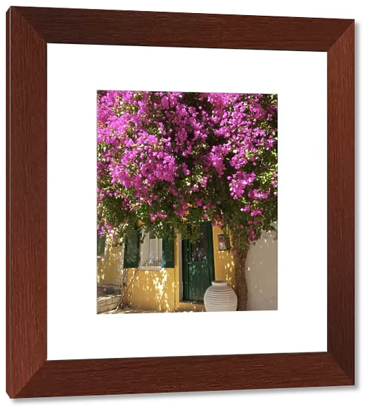 House Covered In Bougainvillea, Paxos, The Ionian Islands, Greek Islands, Greece, Europe
