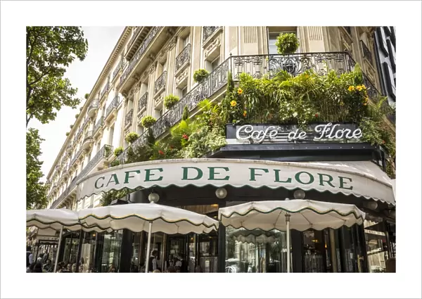 Cafe de Flore, Boulevard St Germain, Rive Gauche, Paris, France