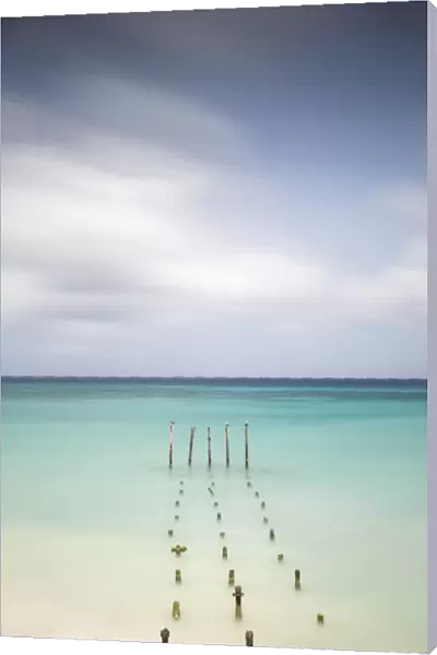 Caribbean, Netherland Antilles, Aruba, Divi beach, Pelicans on wooden posts