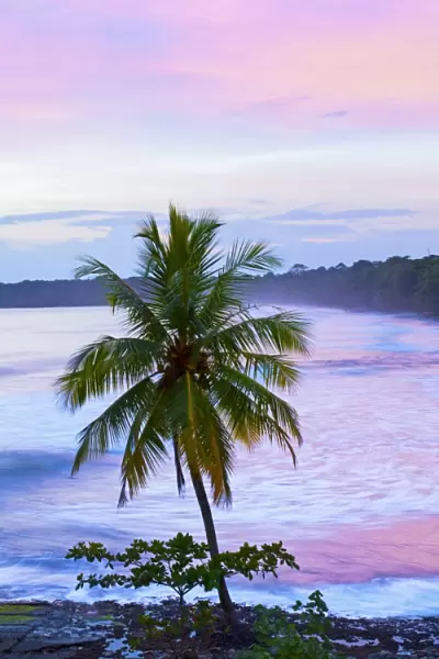 Costa Rica, Cahuita, Cahuita National Park, Lowland Tropical Rainforest, Caribbean Coast