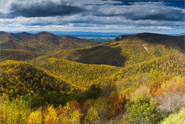 Blue Ridge Mountains in Autumn, Shenandoah National Park, Virginia, USA