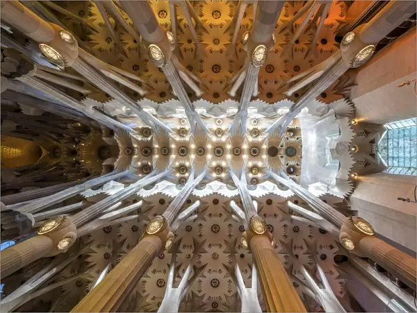 Low angle view of the roof in the nave, Sagrada Familia, Barcelona, Catalonia, Spain