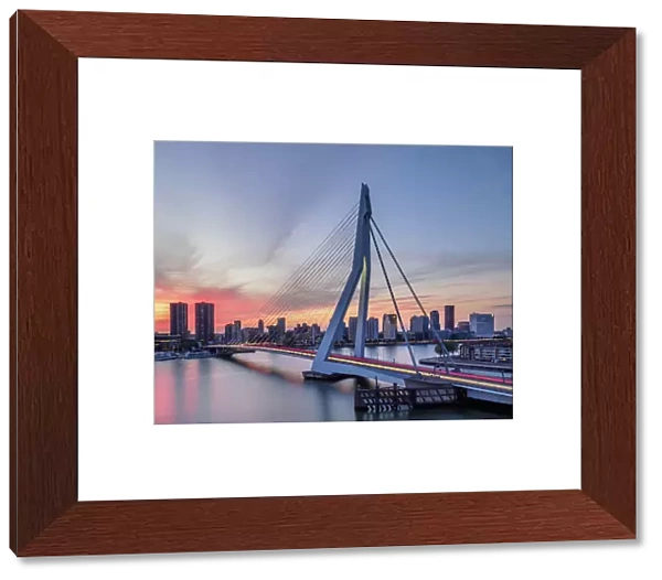 Erasmus Bridge at sunset, Rotterdam, South Holland, The Netherlands