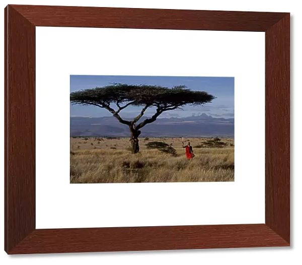 Msai warrior framed by a flat topped acacia tree and Mt