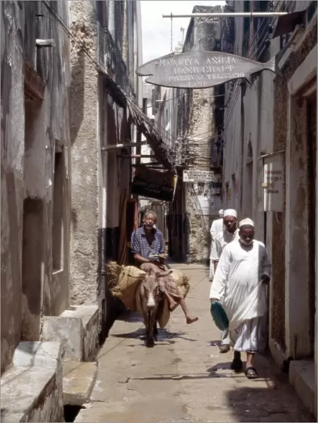 A man rides a donkey in one of the narrow streets of Lamu town