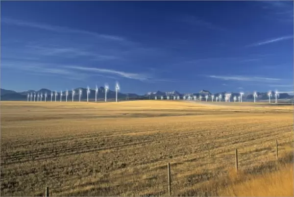 Wind farm, Crowsnest Pass, Cowley, Alberta, Canada
