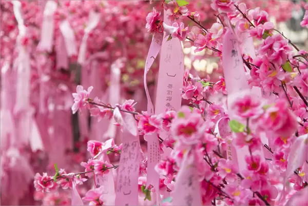 Prayer ribbons and blossom for Chinese New Year at Man Mo Temple, Sheung Wan, Hong