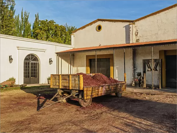 Bodega Viamonte, winery, Lujan de Cuyo, Mendoza Province, Argentina