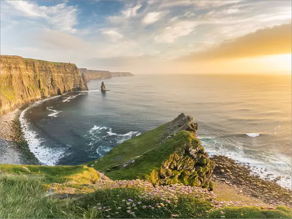 Cliffs of Moher at sunset, with flowers on the foreground