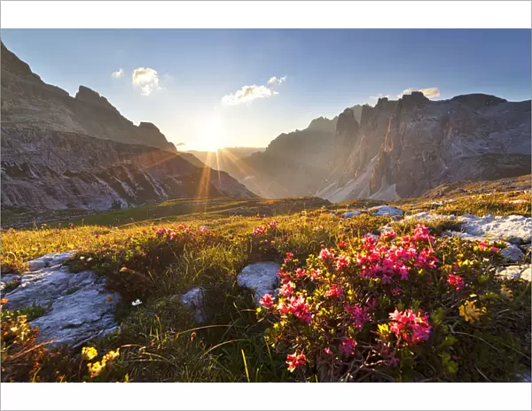 Dawn on Sassovecchio Valley with Crode Fiscaline, Dolomites, Dobbiaco, South Tyrol