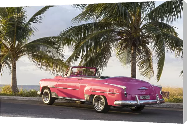 Pink Chevrolet, Havana, Cuba