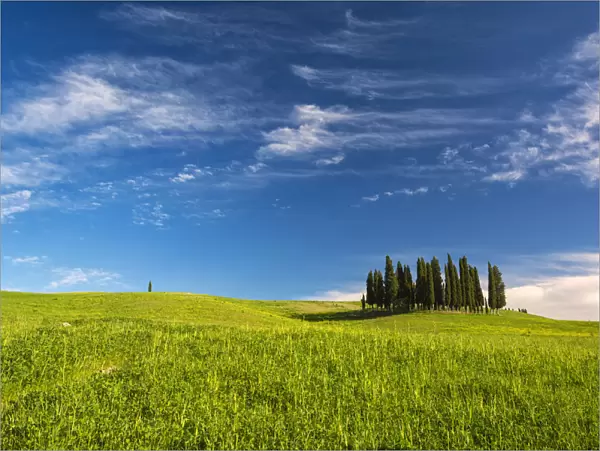 San Quirico d Orcia, Orcia Valley, Siena province, Tuscany, Italy