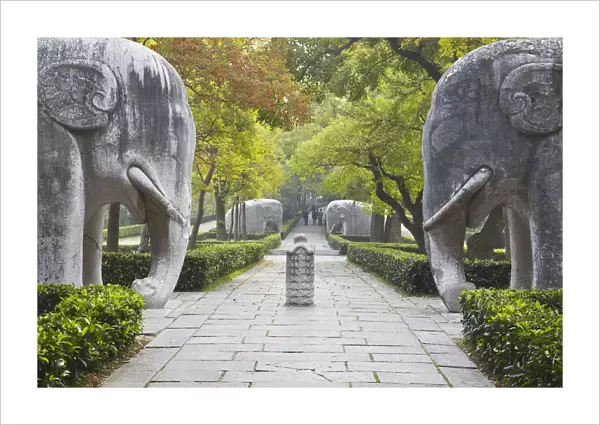 Elephant statues on Stone Statue Road at Ming Xiaoling (Ming dynasty tomb and UNESCO