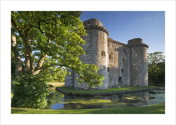 Nunney Castle and moat in the village of Nunney, Somerset, England. Summer (June)