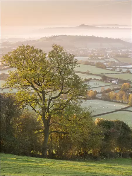 Glastonbury Tor at dawn from the Mendips, Somerset, England